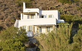 Amorgos - The Olive Garden 